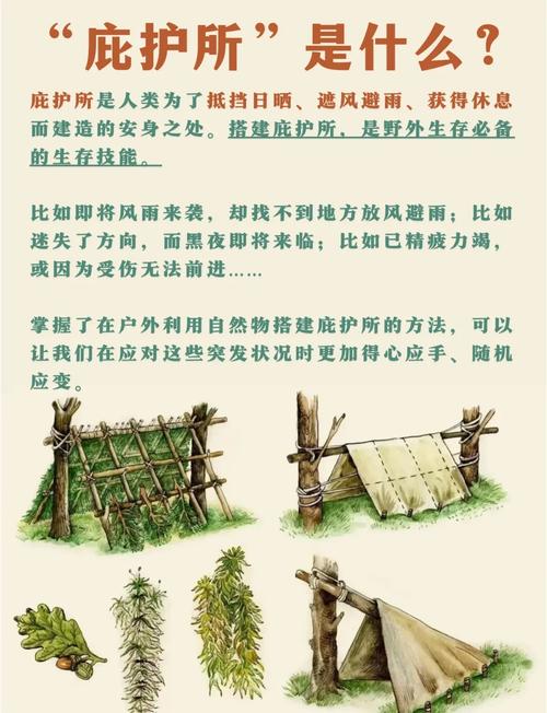山谷中搭建生存基地的必备物资筹备及安全应对要点
