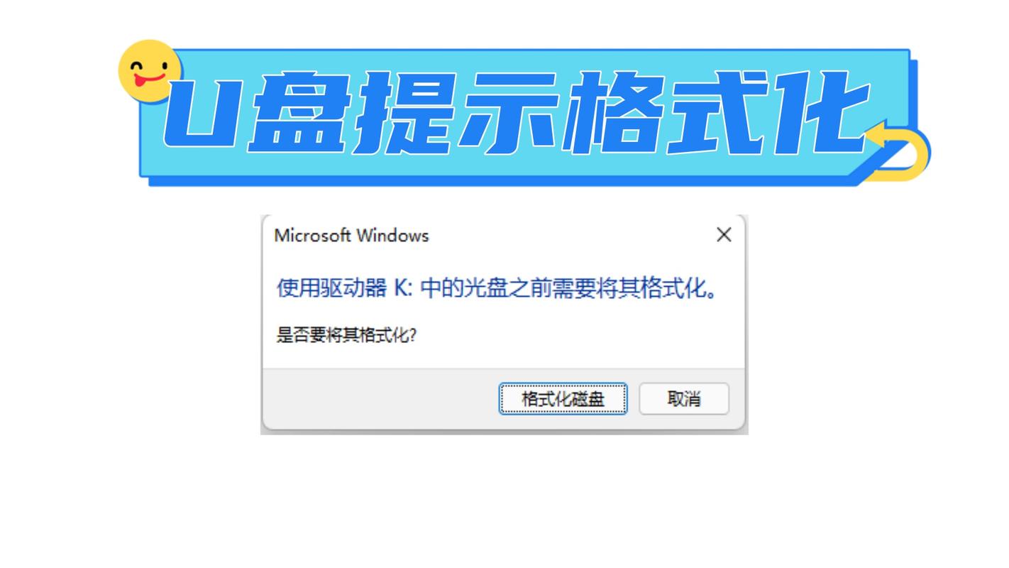 格式化u盘下载软件安全吗_格式化u盘的软件下载_u盘格式化软件下载