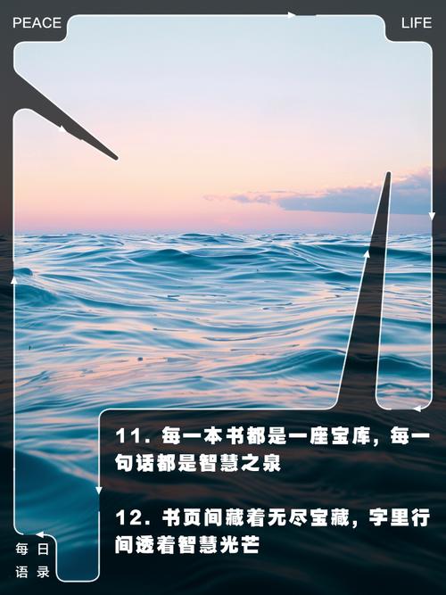 书阁：汇聚知识宝藏，畅享阅读乐趣的理想之地