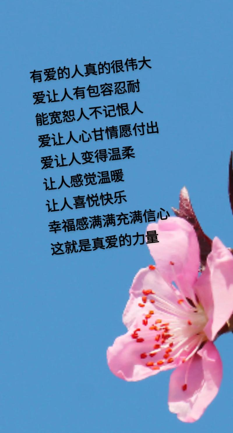 魔力爱白金信用卡_魔力爱情小说_爱的魔力