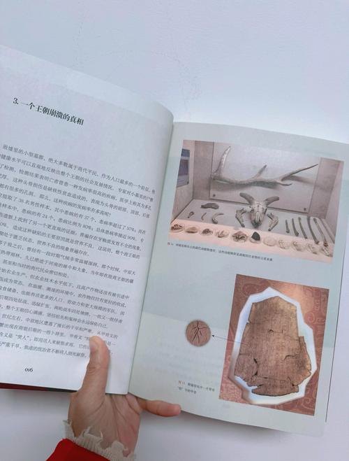 原神远古宝藏_远古宝藏的线索_远古藏宝图能出什么