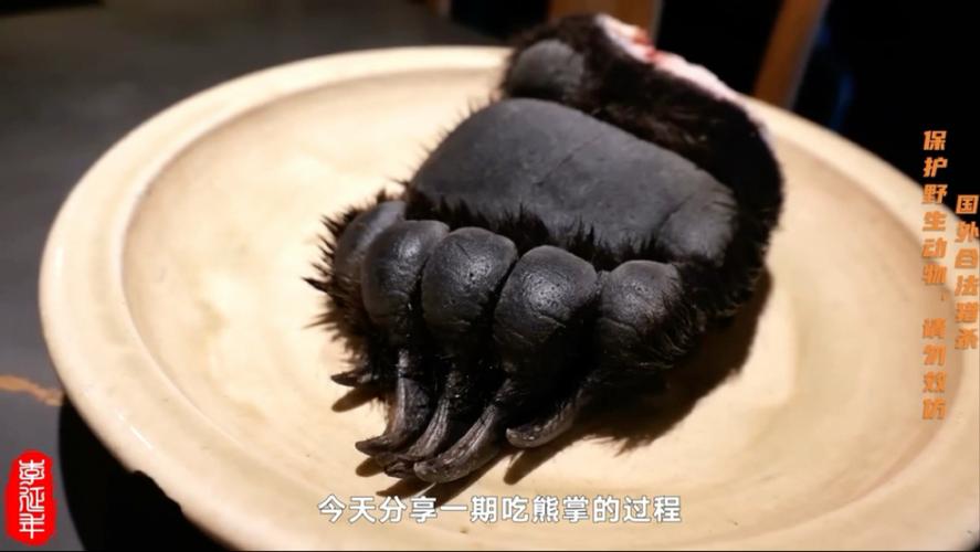 好吃熊掌的楚王_熊掌好吃吗_熊掌食材
