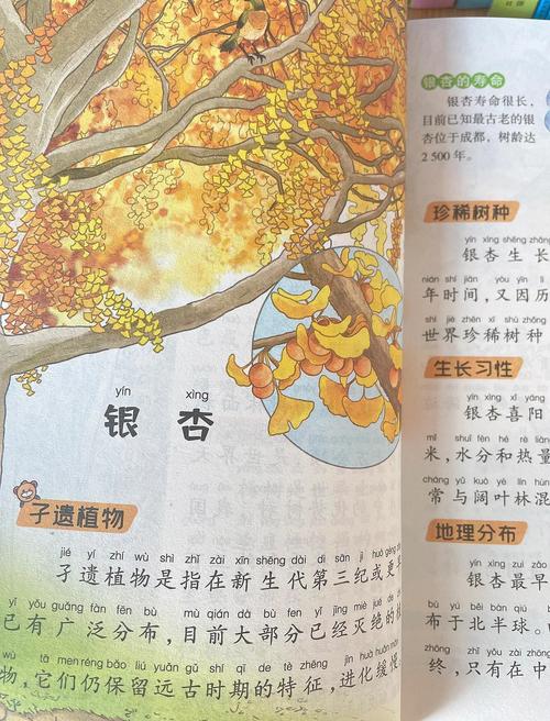 中国八旗是哪八旗_八旗中文网_八旗中文网app