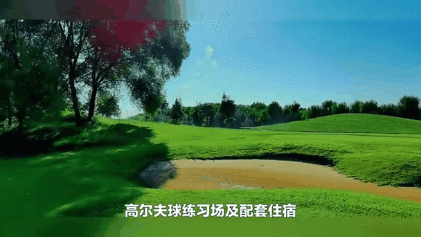 高尔夫平台_高尔夫平台衍生的车_高尔夫平台介绍