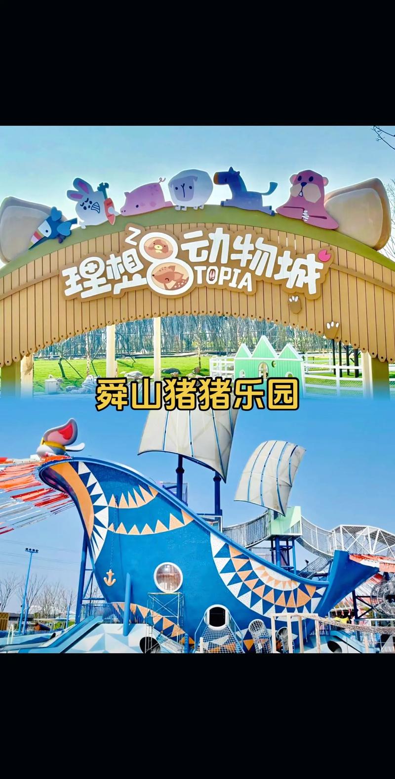 BT猪猪乐园：曾是资源宝库，因版权纠纷走向终结