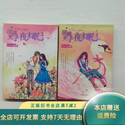 探讨胡桃夹子夜未眠txt资源：便捷背后的版权与风险？