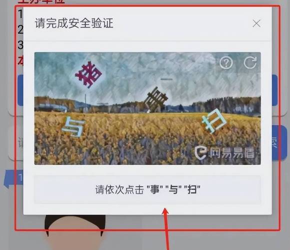 刷票软件是干嘛用的_刷票软件_刷票软件安全吗