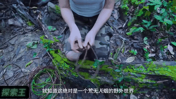 身材娇小者勇闯冒险之旅，历经重重考验，尽显无畏勇气