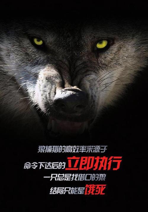 鳯舞九天_狼舞九天_九天凤舞舞蹈