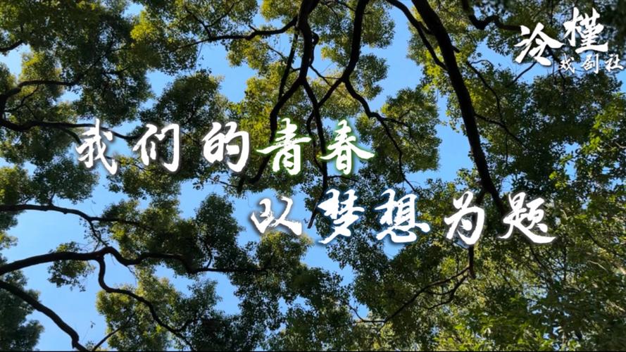 校园纯情水泳社：因热爱相聚，逐梦想前行，共谱青春华章