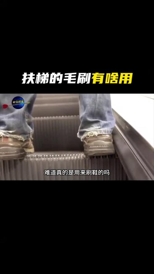 扶梯毛刷_扶梯毛刷安装标准_手扶梯的毛刷有什么用