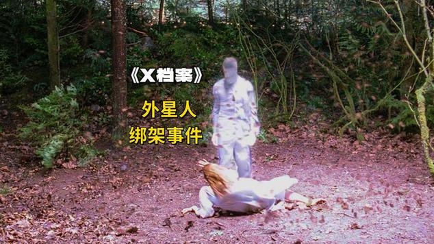 有一部美剧叫什么档案_美国x档案快播_档案全集