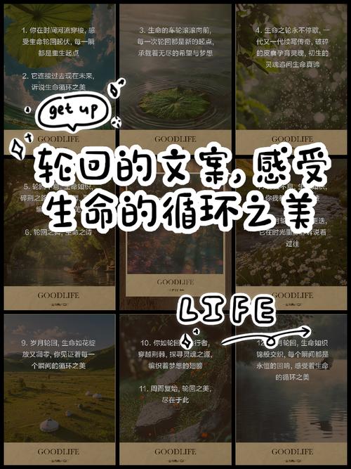 轮回之章凝梦_轮回之章凝梦支线_轮回之章凝梦隐藏英雄