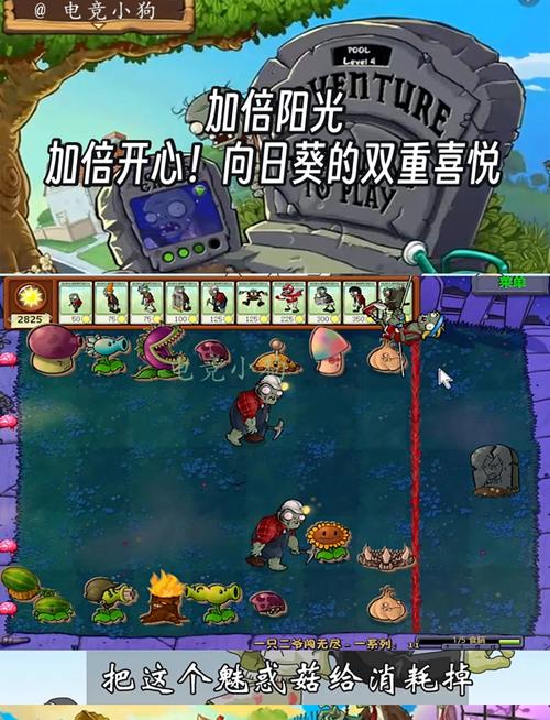 双子向日葵_双子向日葵碎片怎么获得_双子向日葵多少阳光