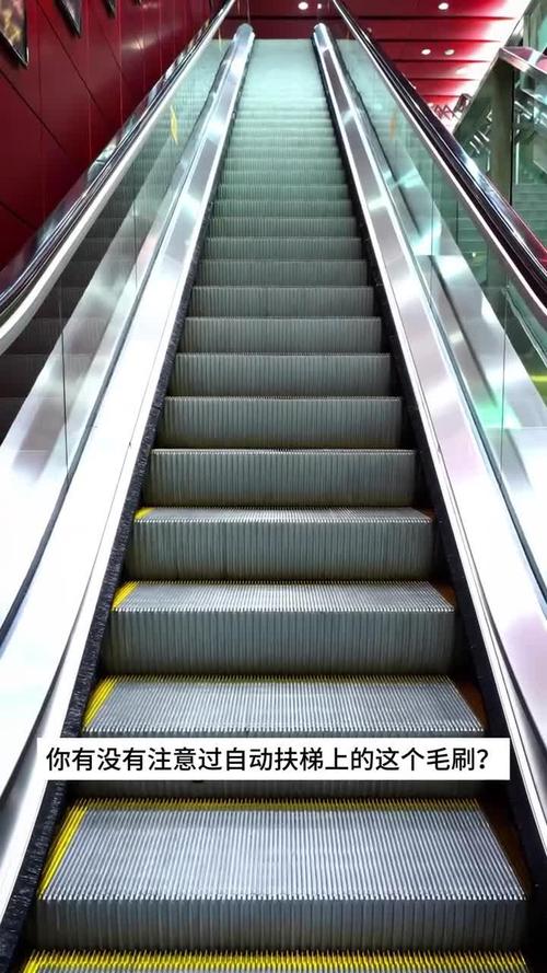 扶梯毛刷安装标准_手扶梯的毛刷有什么用_扶梯毛刷