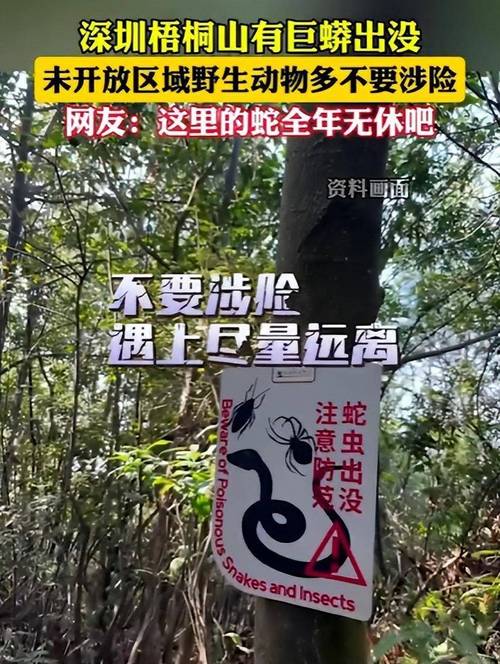 蟒蛇之灾_蟒蛇之灾_蟒蛇之灾