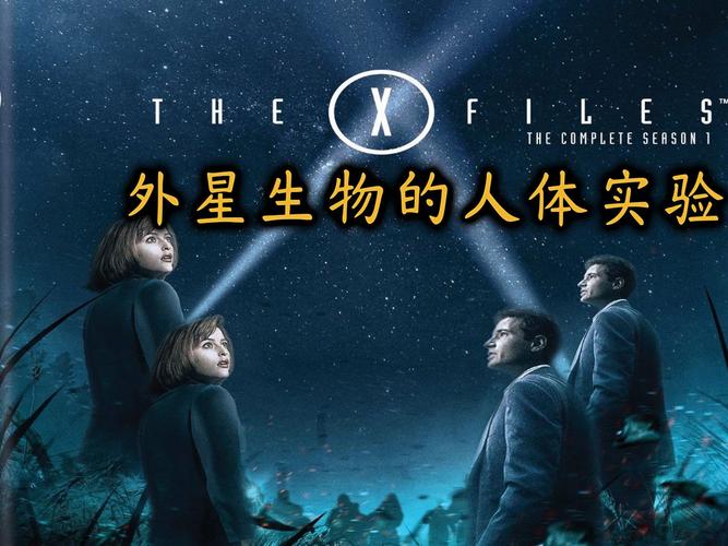 美国x档案快播_有一部美剧叫什么档案_档案全集