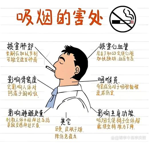 烟钱花束图片_烟钱价格图片_烟钱