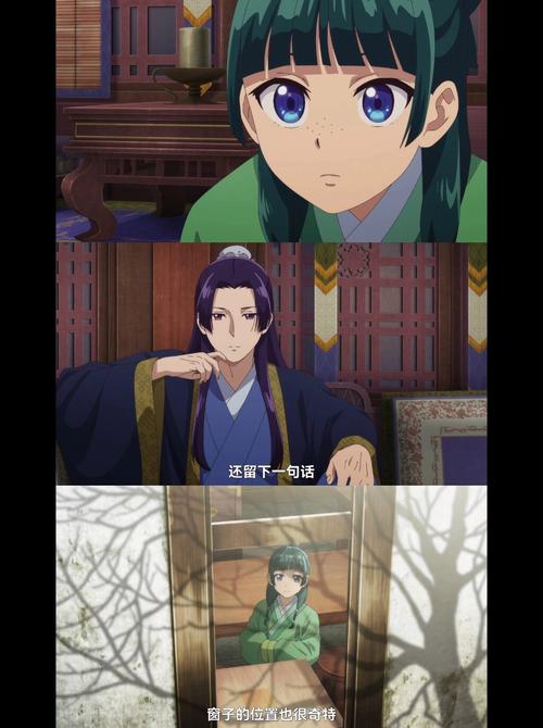 1王9帅12宫：奇幻世界里的爱情交织与神秘挑战？