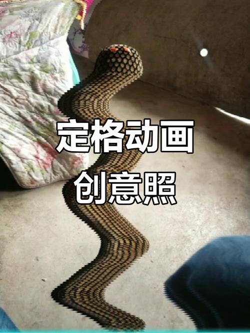 制作动感影集：捕捉生活精彩瞬间，留存珍贵回忆的创意活动