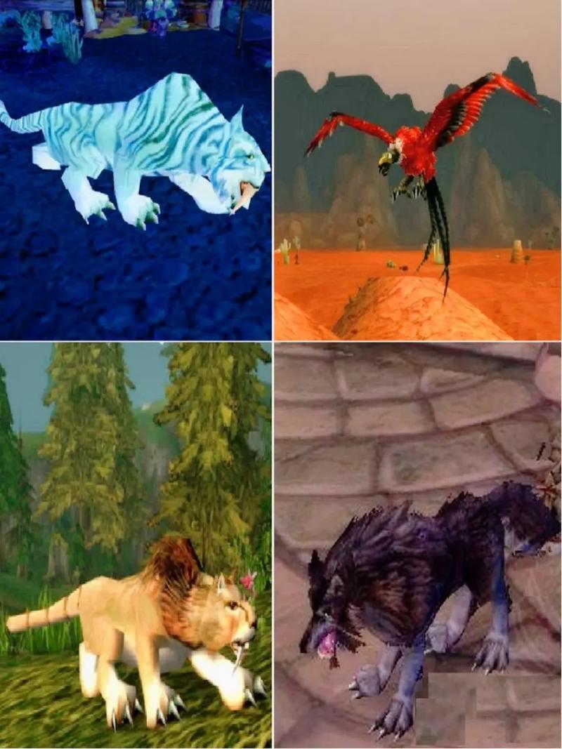 猎人宠物不高兴状态_猎人宠物bug_猎人宠物不高兴消失了怎么办