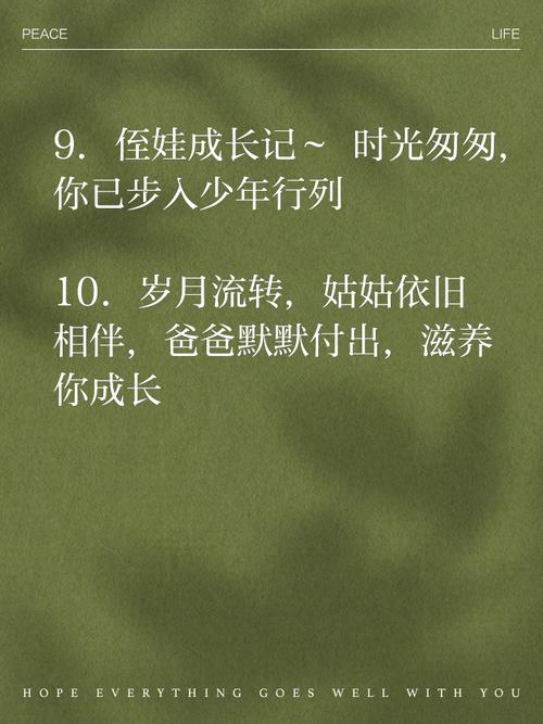 侄子叫我什么_子侄_侄子英语