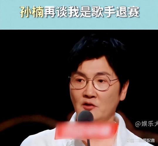 孙楠退出_孙楠听了想退赛_孙楠嗯退赛
