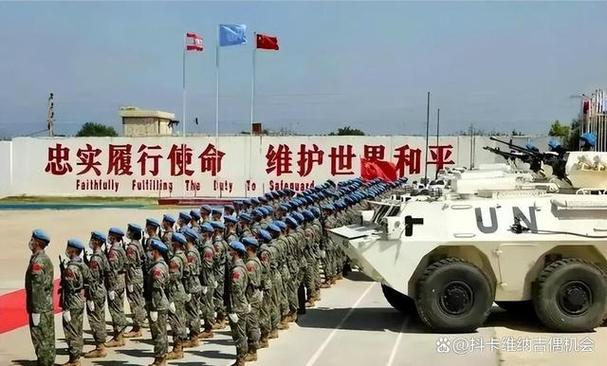 维和部队的意思_维和部队是什么意思_维和部队是什么军种