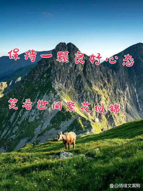蛋妹啥意思_蛋定妹丶美兮_蛋妹说币