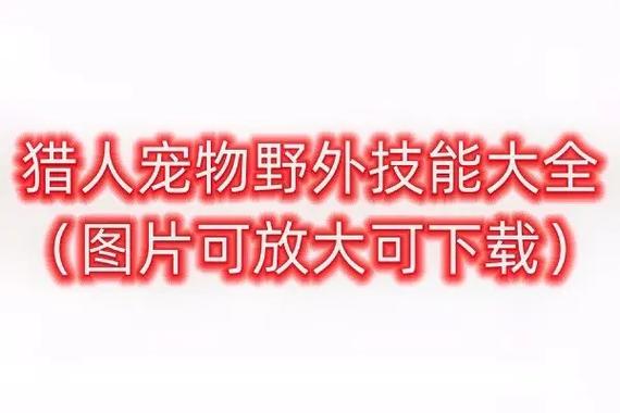 猎人宠物bug_猎人宠物不高兴消失了怎么办_猎人宠物不高兴状态
