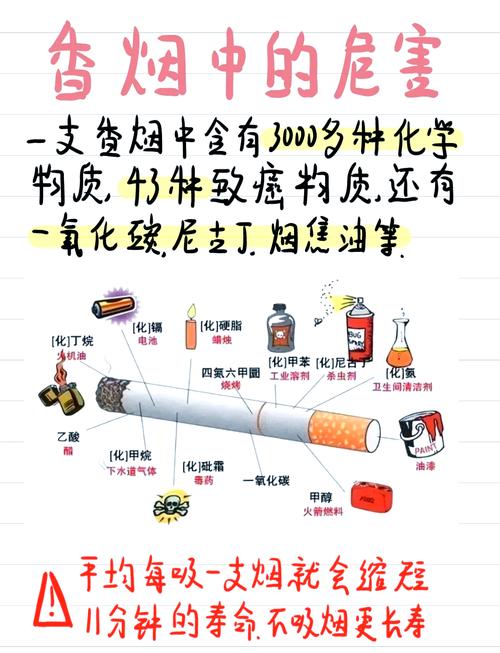 烟钱_烟钱价格图片_烟钱花束图片