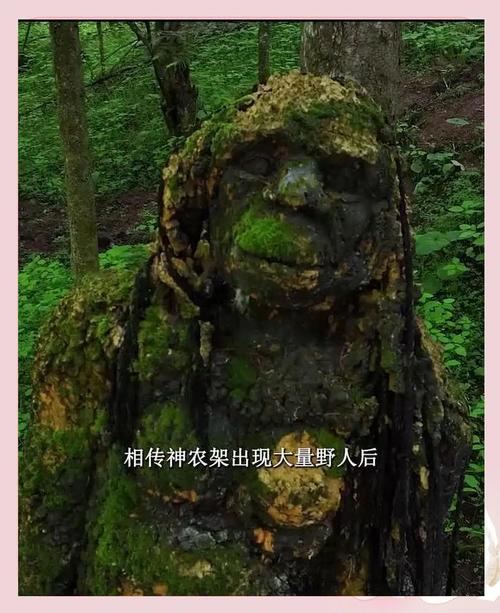 雨血前传蜃楼结局_血雨前传蜃楼_前传血雨蜃楼在线观看