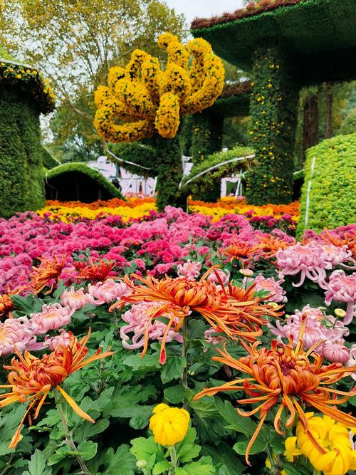 百花缭乱12_百花缭乱歌词_百花缭乱65毕业装备一览表