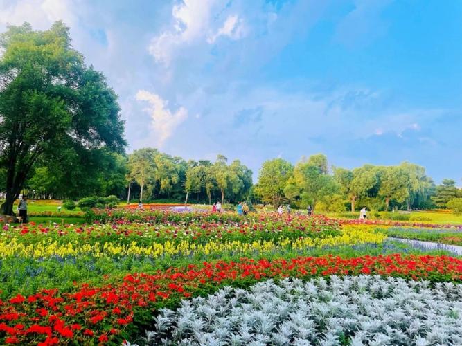 太阳园：阳光明媚、风景宜人，众人向往的居住休闲佳地