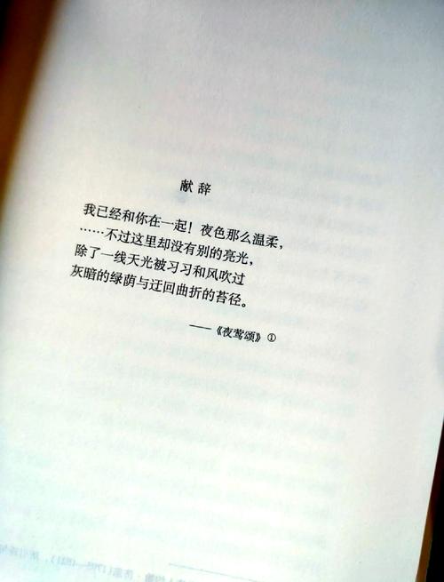 菲茨的气息_菲茨的气息_菲茨的气息