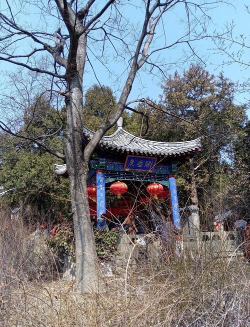 qq等级最高_二甲医院好还是三甲医院等级高_等级高qq号购买