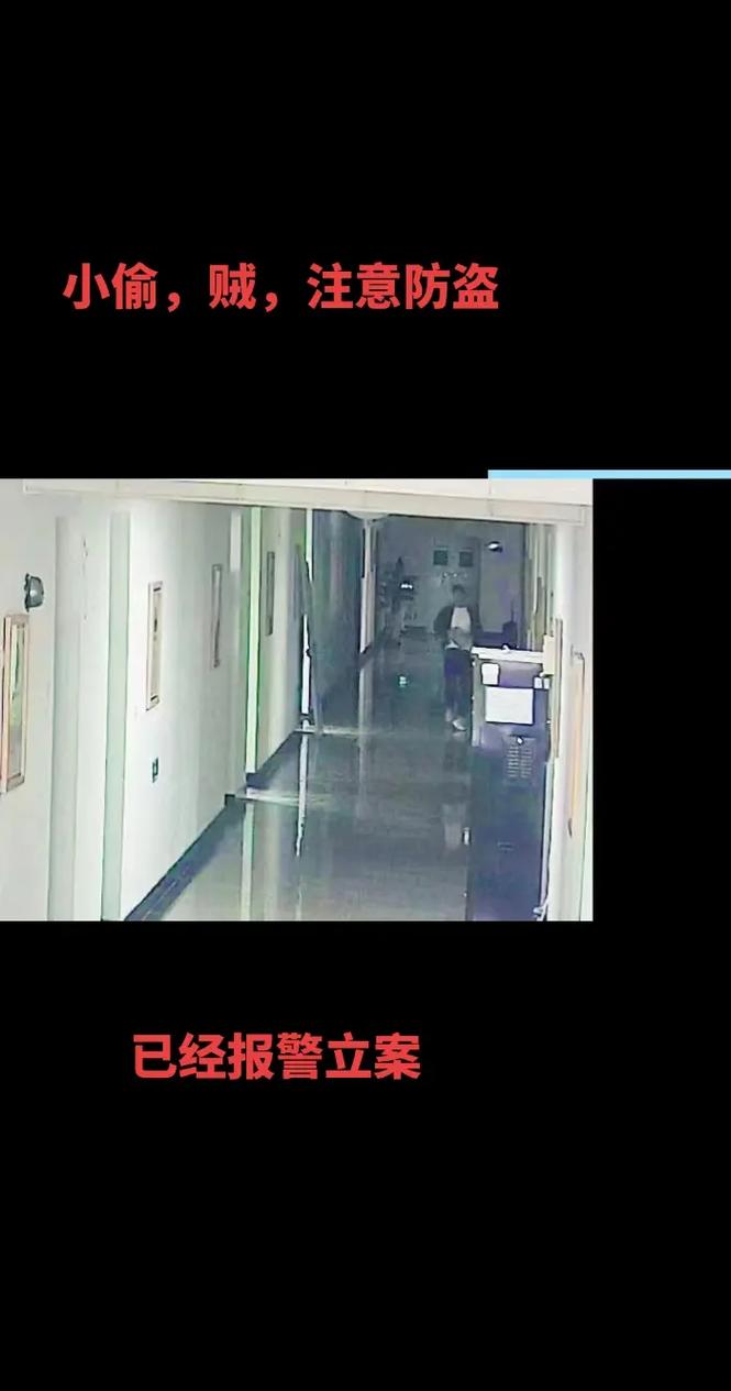 小偷疯狂科技攻略_疯狂小偷_小偷疯狂科技通关技巧