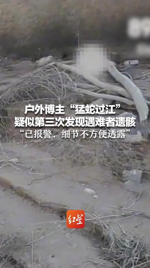蟒蛇之灾_蟒蛇之灾_蟒蛇之灾