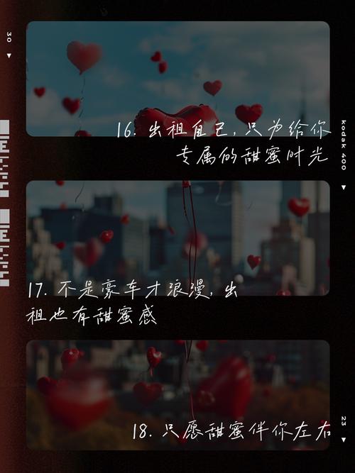 出租情人节文案_出租情人节图片_情人节出租自己