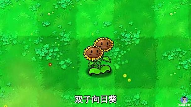 双子向日葵多少阳光_双子向日葵_双子向日葵碎片怎么获得