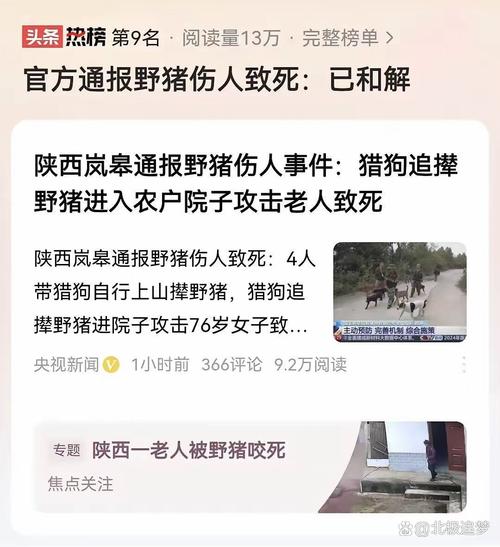 广东省湛江市今天猪最新价格_广东湛江发现猪人_广东湛江大型猪场