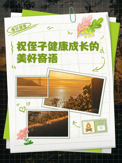侄子叫我什么_侄子英语_子侄