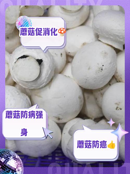 佛珠生菇讲述一个什么道理_佛珠生菇讲述了_佛珠生菇