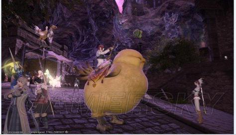 ff14陆行鸟_陆行鸟肌腱哪里掉_陆行鸟礼物站
