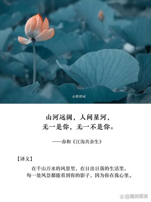 缘来shini_来世清缘_缘来世你