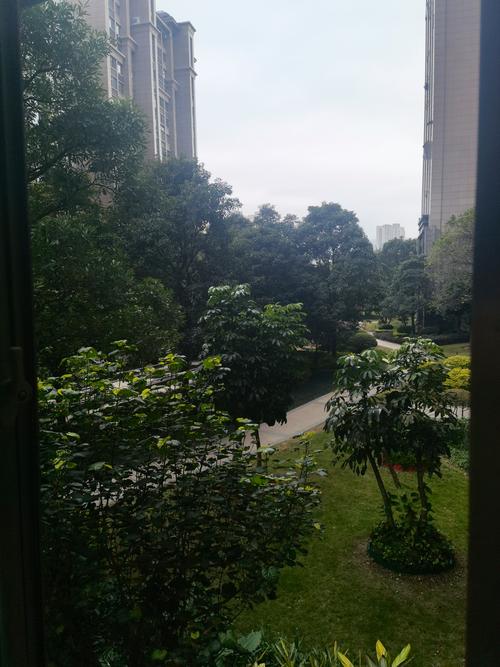 融信大卫城：欧式建筑与完善设施打造舒适居住空间