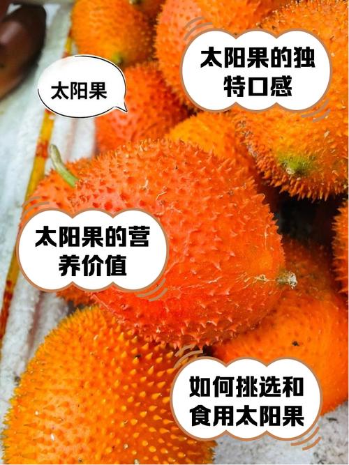 热带太阳果_热带果树_热带的太阳