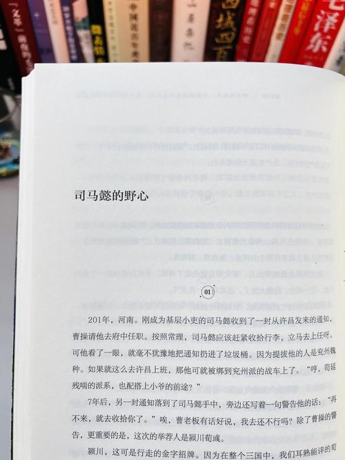 英雄与枭雄：正义与权谋的较量，历史留下的鲜明痕迹