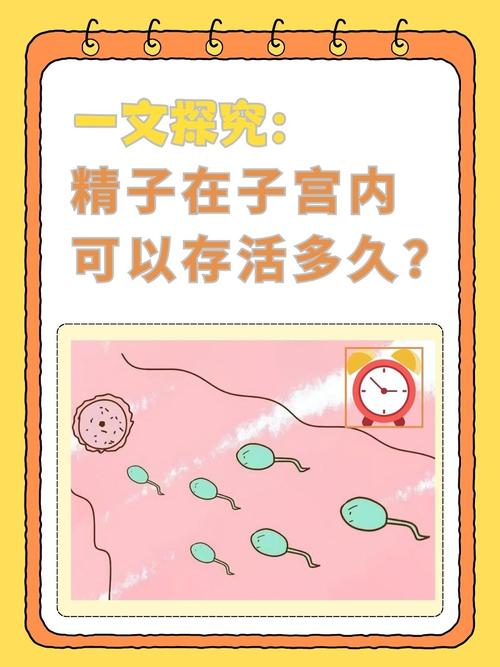 美女与精子：外在魅力与生命起源的独特价值与意义