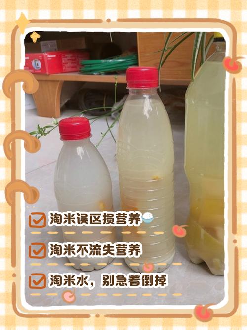 淘米妈妈登录_淘米妈妈战歌读后感_淘米妈妈
